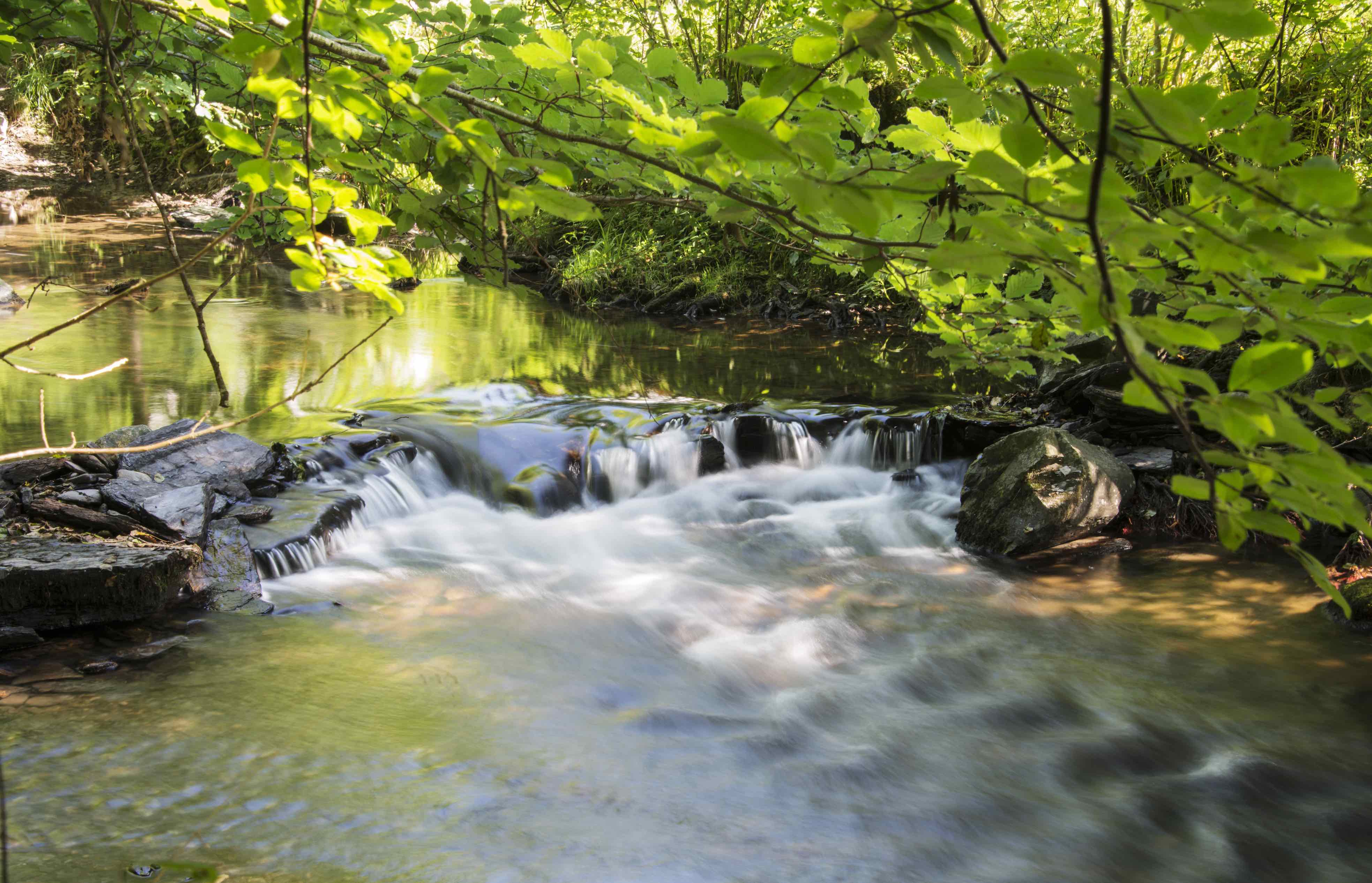 La vallée du Hoyoux, cadre naturel du séjour ressourcement
